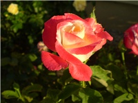 2bbb3b4f-Picture 3115.jpg